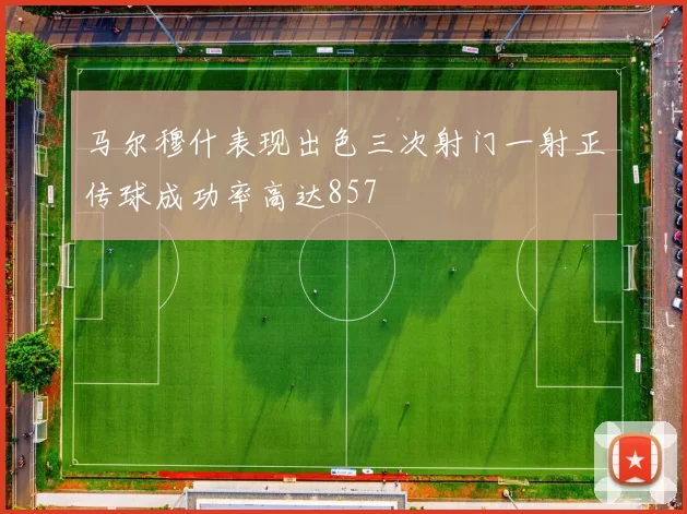 马尔穆什表现出色三次射门一射正传球成功率高达857