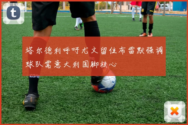塔尔德利呼吁尤文留住布雷默强调球队需意大利国脚核心